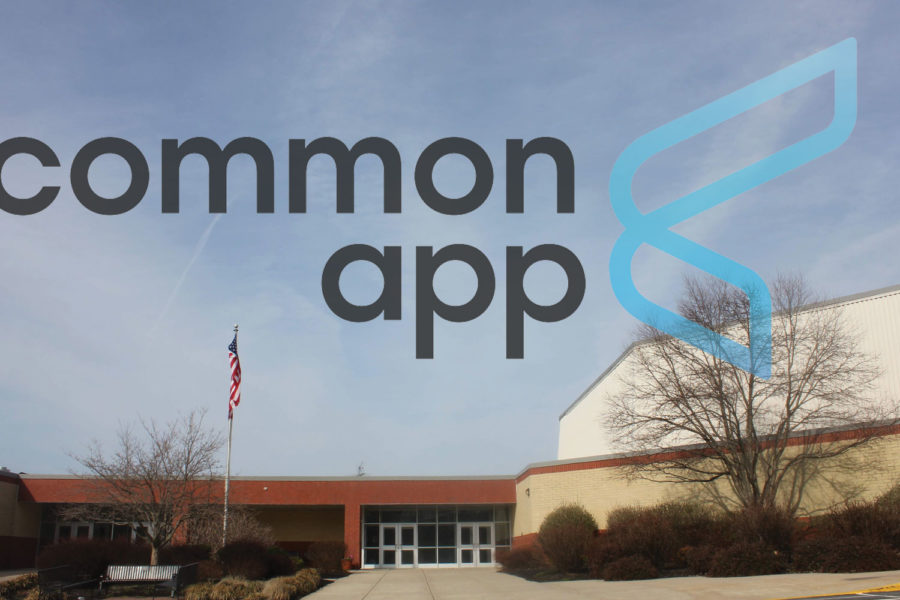 Common+App+reports+rise+in+early+action+applicants