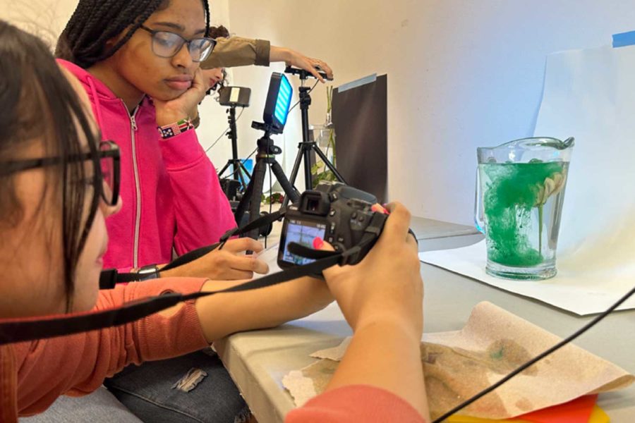 Seniors Dynve’ Lee and Kallilynn Dewees work on a flower lab assignment during photography class.