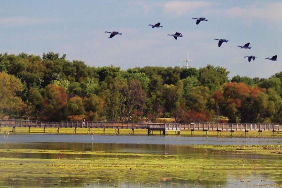 John Heinz Wildlife Refuge
