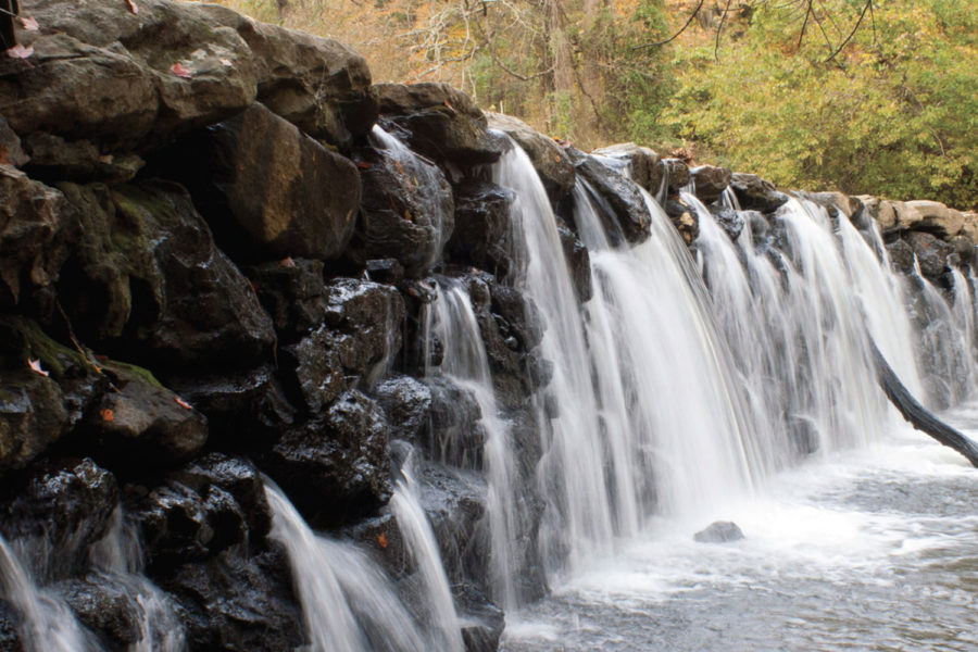 Ridley Creek State Park