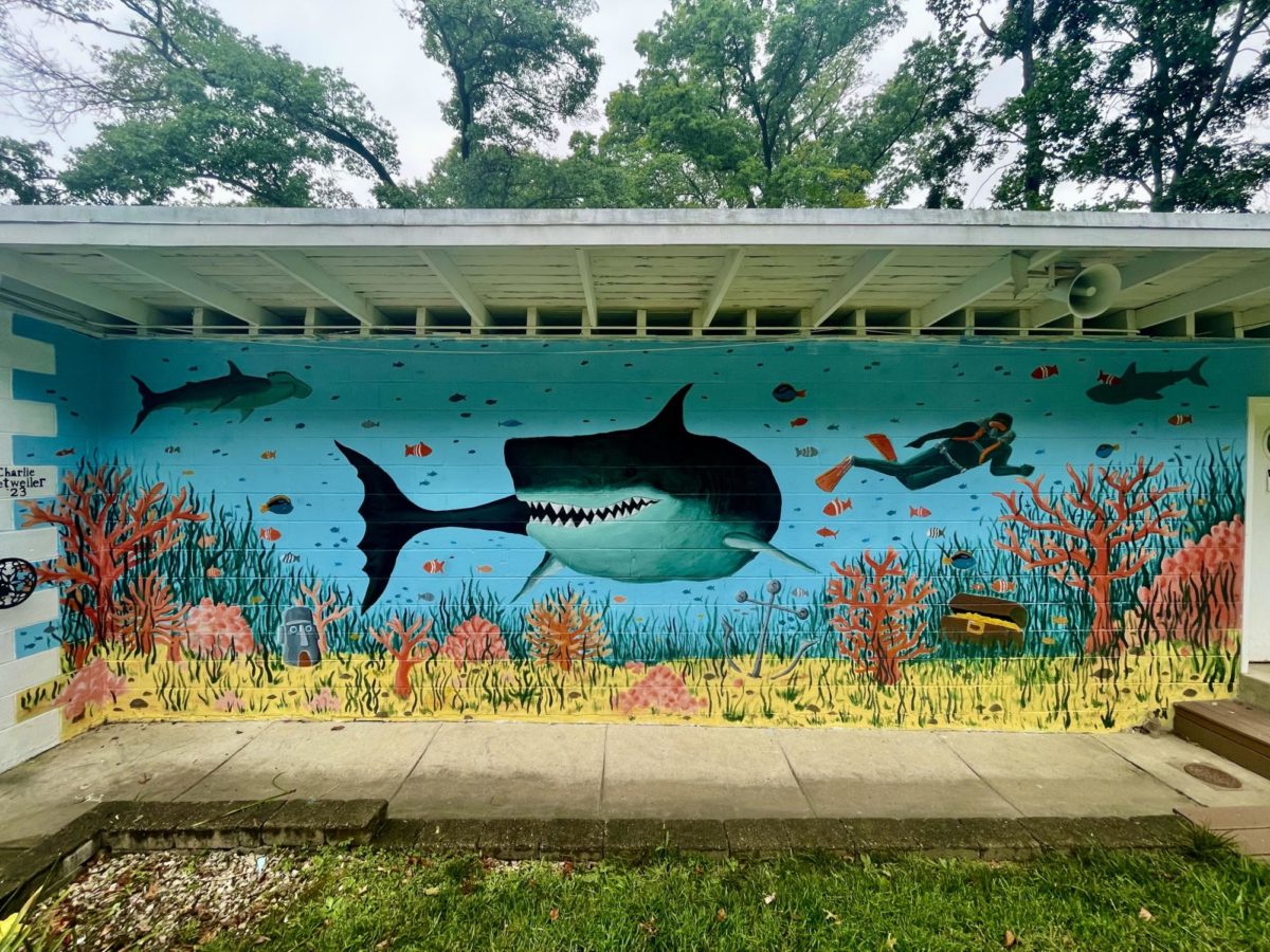 Charlie Detweiler completed a mural at Swarthmore Swim Club.