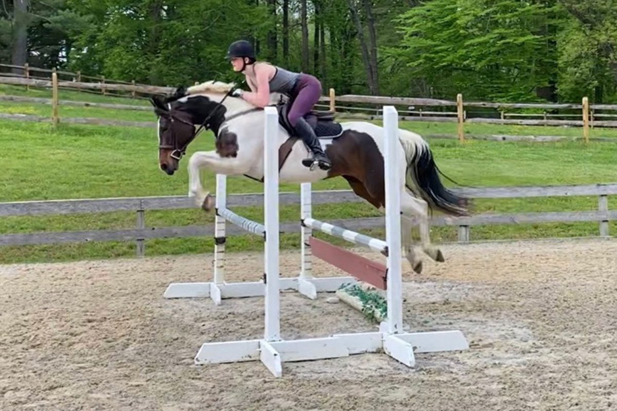 Senior Eliza Cole takes her leased horse Lu over a jump. Photo provided by Eliza Cole 24