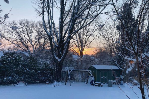 A snowy local yard—not from this winter, but maybe something we can look forward to?