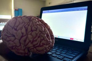 ILLUSTRATION: A model of the brain sits in front of a school provided Chromebook, representing how the time students spend on screens reflects onto our brains.