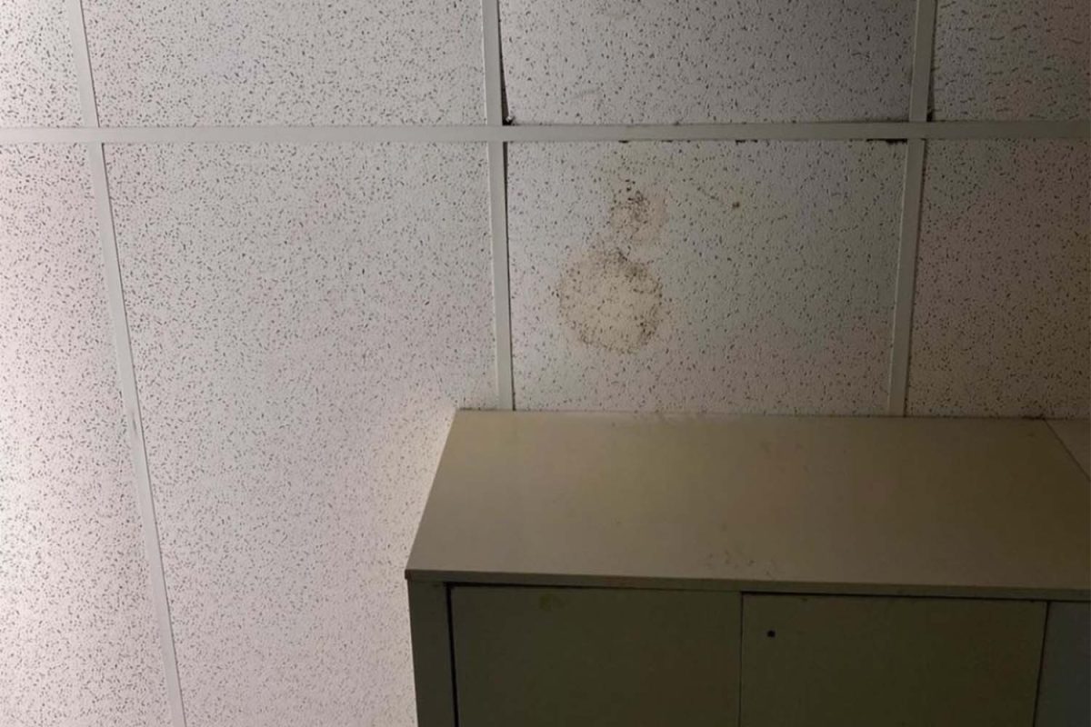 A picture of a patch of mold near the vent in room 307, posted by Christina Si on September 15 and used with permission.