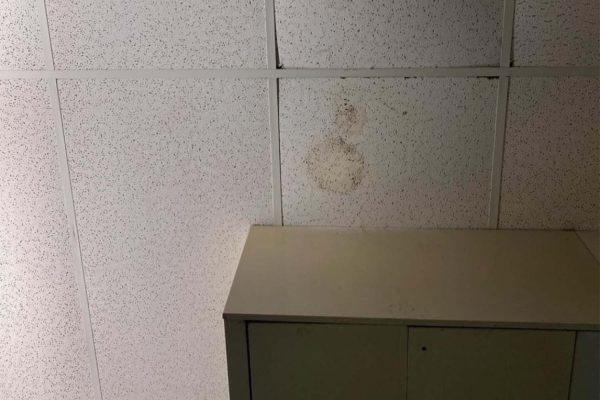 Navigation to Story: Mold in science classroom sparks student concern 