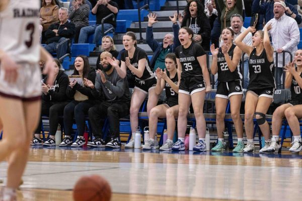 The bench (and crowd) reacts to a Panther bucket during the PIAA 5A playoff game against Radnor on Thursday, March 12, electrifying the gym's atmosphere.