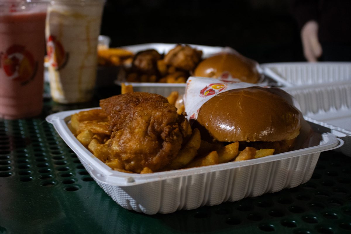 Asad's Hot Chicken #4 entrée. Tender, slider, and fries, extra hot. Razzle Dazzle fruit smoothie and peanut butter milkshake on the side. April 25, 2025 at Conshohocken Asad's.