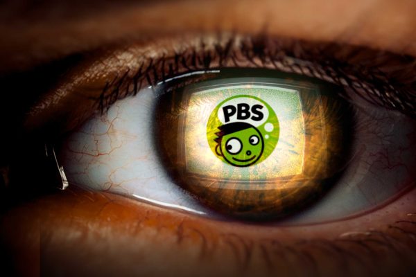 ILLUSTRATION: An eye reflects a PBS screen.
