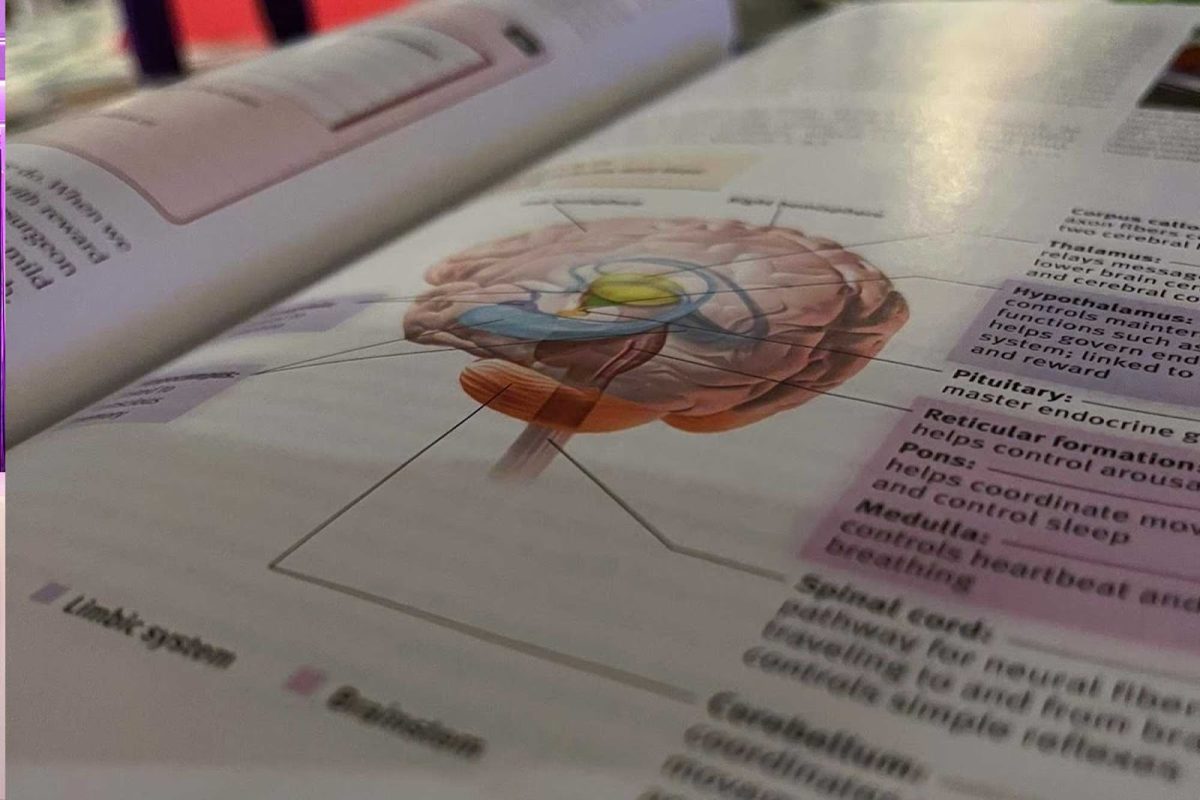 AP Psychology textbook provided to Haven students.