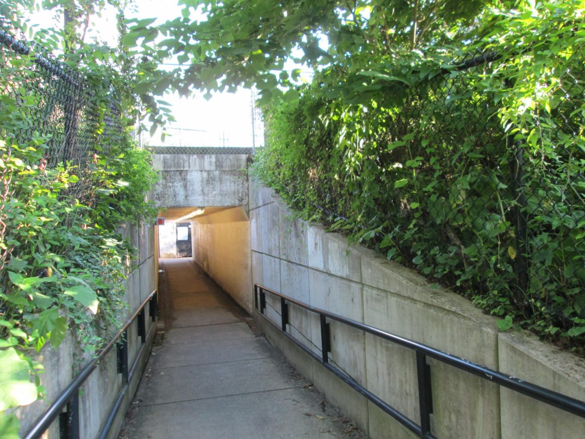 Encroaching vegetation on human infrastructure showcases environmental change, a relevant topic in AP Environmental Science. While AP Environmental Science focuses on change, the class has changed to accommodate for eco-anxiety, as well.
