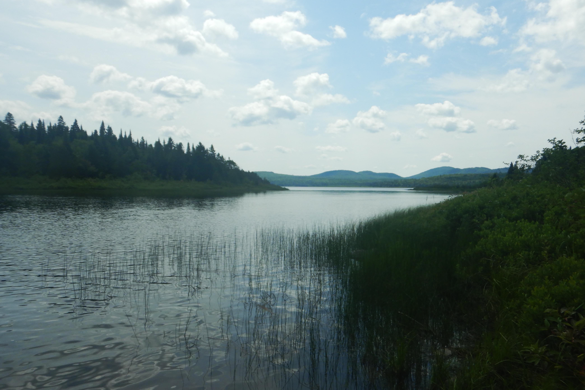 Serene ecosystems like this one benefit from environmental activism.  